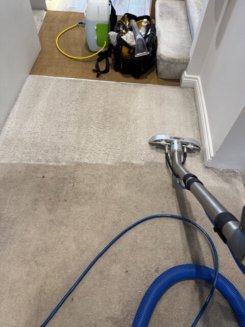 Professionally revived carpet in a Cheshire home